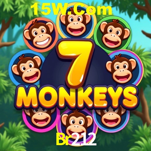 Security Systems Br212