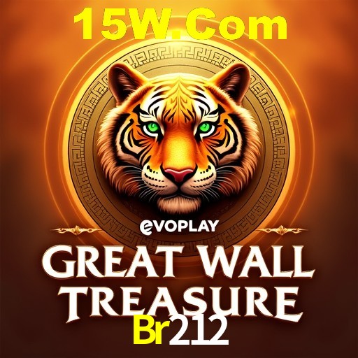 Interface Premium Br212